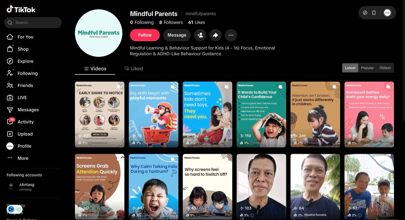 Mindful Parents 1